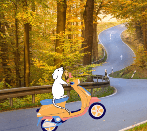 Épouvil'Conduite - Auto, Moto École - Épouville